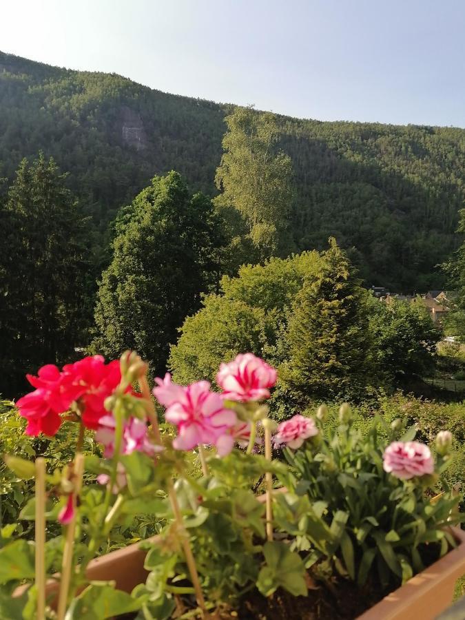 Chez Many, Par Fred Et Henri Bed and Breakfast Monthermé Buitenkant foto